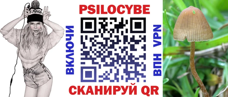 ссылка на мегу зеркало  Саки  Галлюциногенные грибы мухоморы 